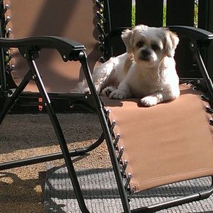 Meet your Posher, Sam